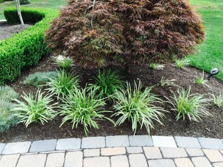 Executive Landscape Solutions, Landscape Design and Planning Ocean NJ