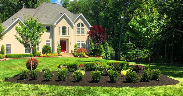 Landscape Planting Freehold, NJ 